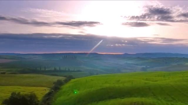 Организм восстанавливается сам