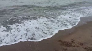 Питбуль Вага на море