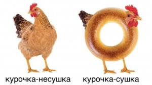 Курочка сушка|мемы 5