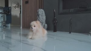 Декоративные рейки на стену