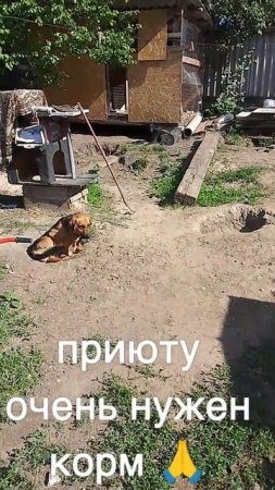 +7985 193 0027
