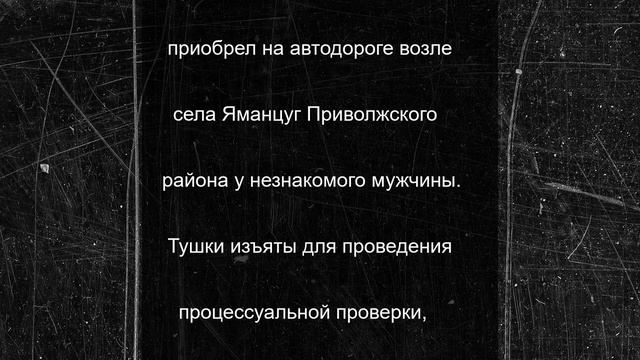 Сторож из Астраханской области на парковке спрятал 10 тушек стерляди