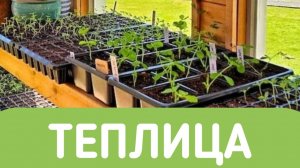 ГОТОВИМ СТЕЛАЖ ДЛЯ ОГУРЦОВ.