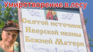 Святой источник иконы Иверской Божией Матери. Умиротворение в лесу. Чистейшая вода. Неожиданно.