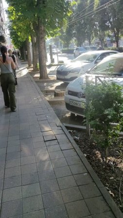 Анализы не хорошие. И с врачами снова трудности.