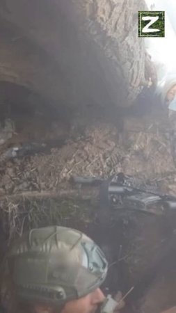сво