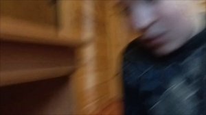 наши морские свинки