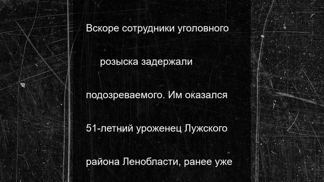 В Петербурге поймали вора, похитившего драгоценности на 650 тысяч рублей