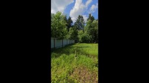 Новый проект (40)