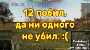 12 побил, да не одного не убил. :( Prototipo 6. Редшир. 20250606 0022.
