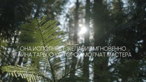 🔥 ОНА ИСПОЛНЯЕТ ЖЕЛАНИЯ МГНОВЕННО 💫 ТАЙНА ЗЕЛЁНОЙ ТАРЫ, О КОТОРОЙ МОЛЧАТ МАСТЕРА