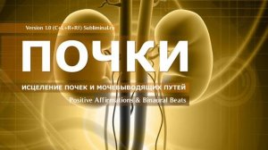 Исцеление почек и мочевыводящих путей. Скрытые аффирмации. Саблиминал