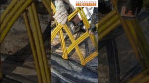 🌿 Лаборатория Ивы Славной: Экспериментальные изгороди (24.05.2025)