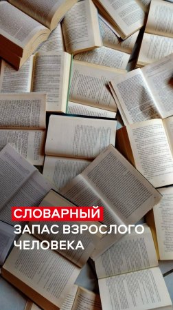 Словарный запас взрослого человека
