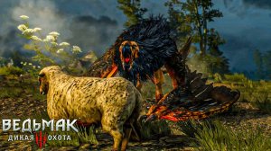 Тихое прохождение игры (Ведьмак 3: Дикая Охота). Серия №4. БИТВА С ГРИФОНОМ!