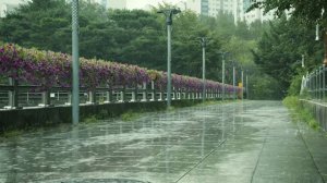 Звуки дождя для глубокого сна 🌧️ Помощь при засыпании, снятие стресса, ASMR