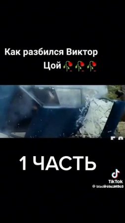 Виктор Цой разбился с икарусой