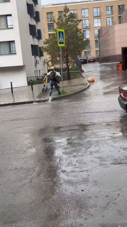 проклятый пешеходник