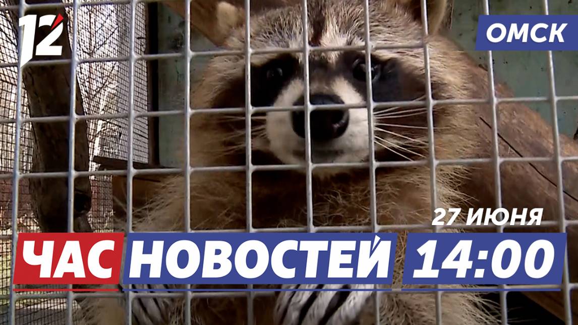 Большереченский зоопарк / Герб Омска на телебашне / День молодёжи. Новости Омска