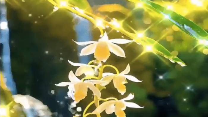 ИЮЛЬ--ТЕЛЕЦ(таро)