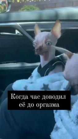 прикол
