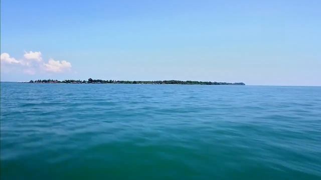 Wild Borneo ep 07 смотреть онлайн