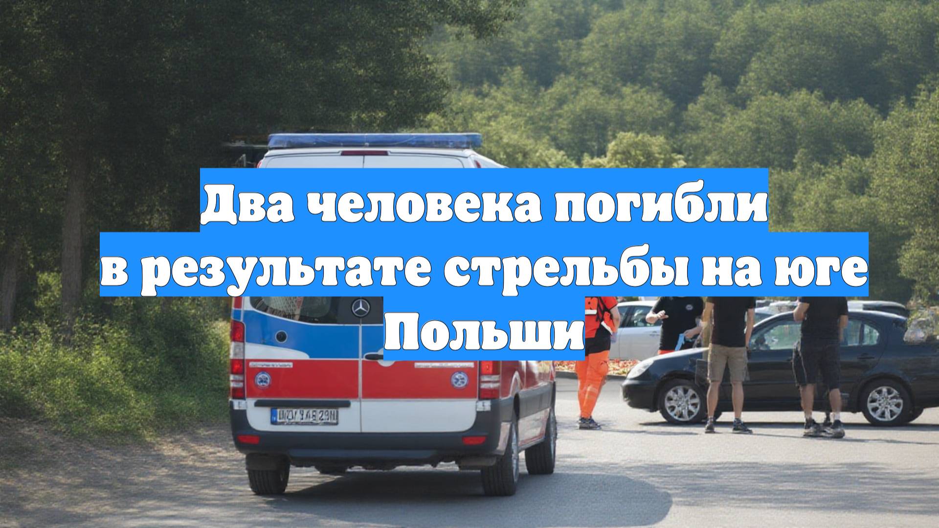 Два человека погибли в результате стрельбы на юге Польши