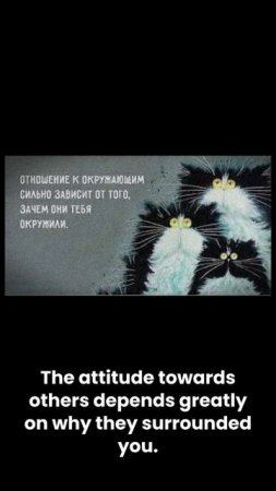 КоТы