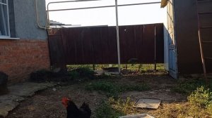 Погода в Краснодарском крае