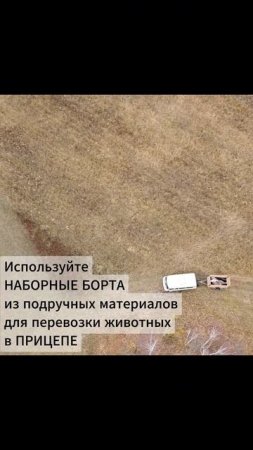 Перевозка животных на автоприцепе с НАБОРНЫМИ бортами  #курганскиеприцепы