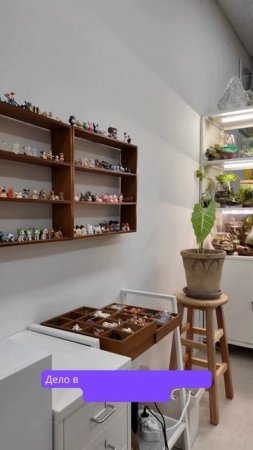 TERRARIUM WORKSHOP #korea #gks #christmas  #vlog #terrarium