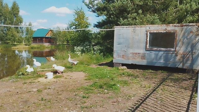 ВЛОГ путешествие в Городецкий район Экологическая тропа Копорье. Город мастеров Городец. 24.06.2025