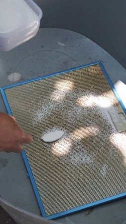 Внук научил! Теперь я чищу вытяжку за 10 минут