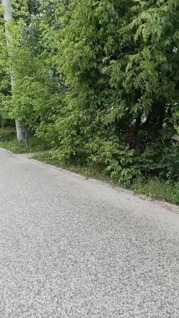погода не очень