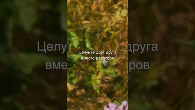 Любите 🕊🌹🕊друг друга🕊🙋🕊
