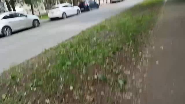 Прогулка ч. 1 с WalkingWithEase