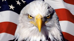 Крутой рок: "Американского ястреба в голубя мира!"