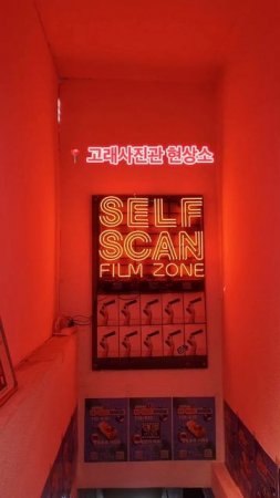 MYEONGDONG ADVENTURE  #korea #myeongdong #travel #film