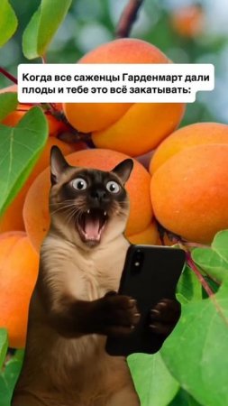 Желаем всем таких «проблем»😂 #Гарденмарт_юмор