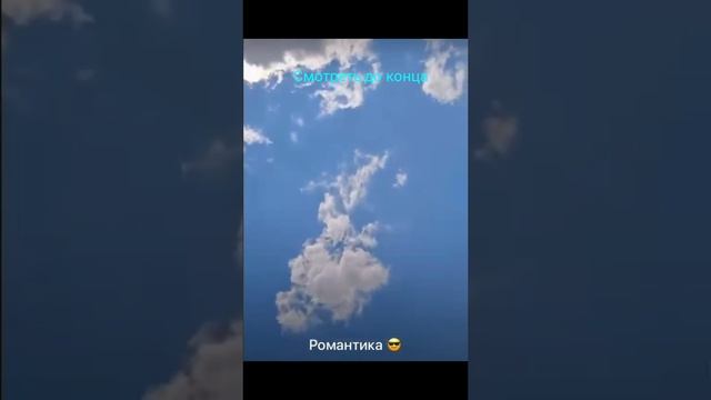 Вот это любовь.😍.