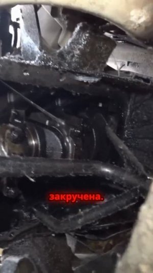 TG: nexpertGM КТО ЭТО СДЕЛАЛ? #shorts #оживление #auto #юмор