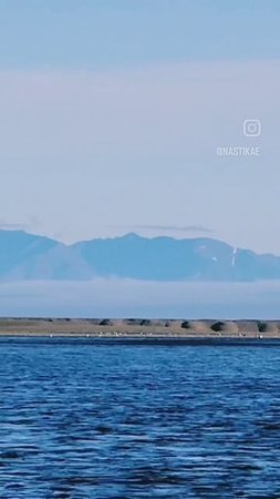 Рыбалка  - это любоффф! Горбуша! Сезон открыт! 27 июня 2025.🎣🐟💙 #nastikae #fishing #горбуша