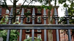 СМИ сообщили о сокращении сотрудников в Гарварде из-за нехватки финансирования