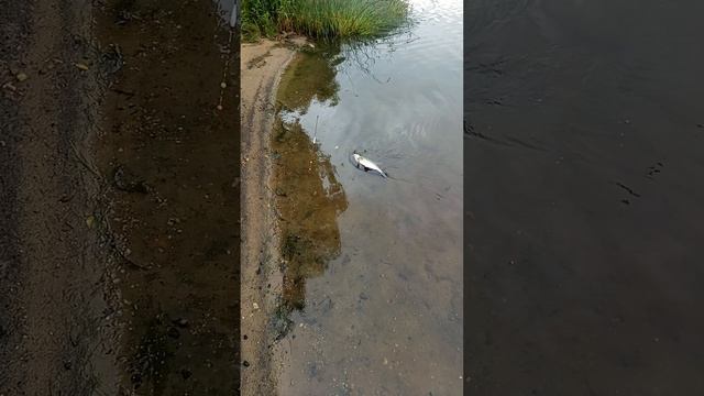 1000021038.mp4