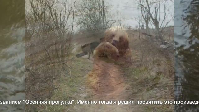 Подсолнух (Sunflower) смотреть онлайн