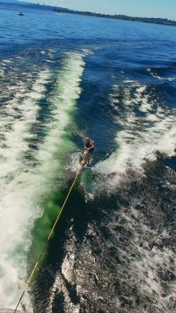🌊 Вейкбординг на озере Вашингтон — полный драйв! 🚤
Солнце, скорость и брызги! Наслаждайтесь адрен