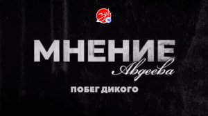 «Мнение Авдеева» о побеге Дикого