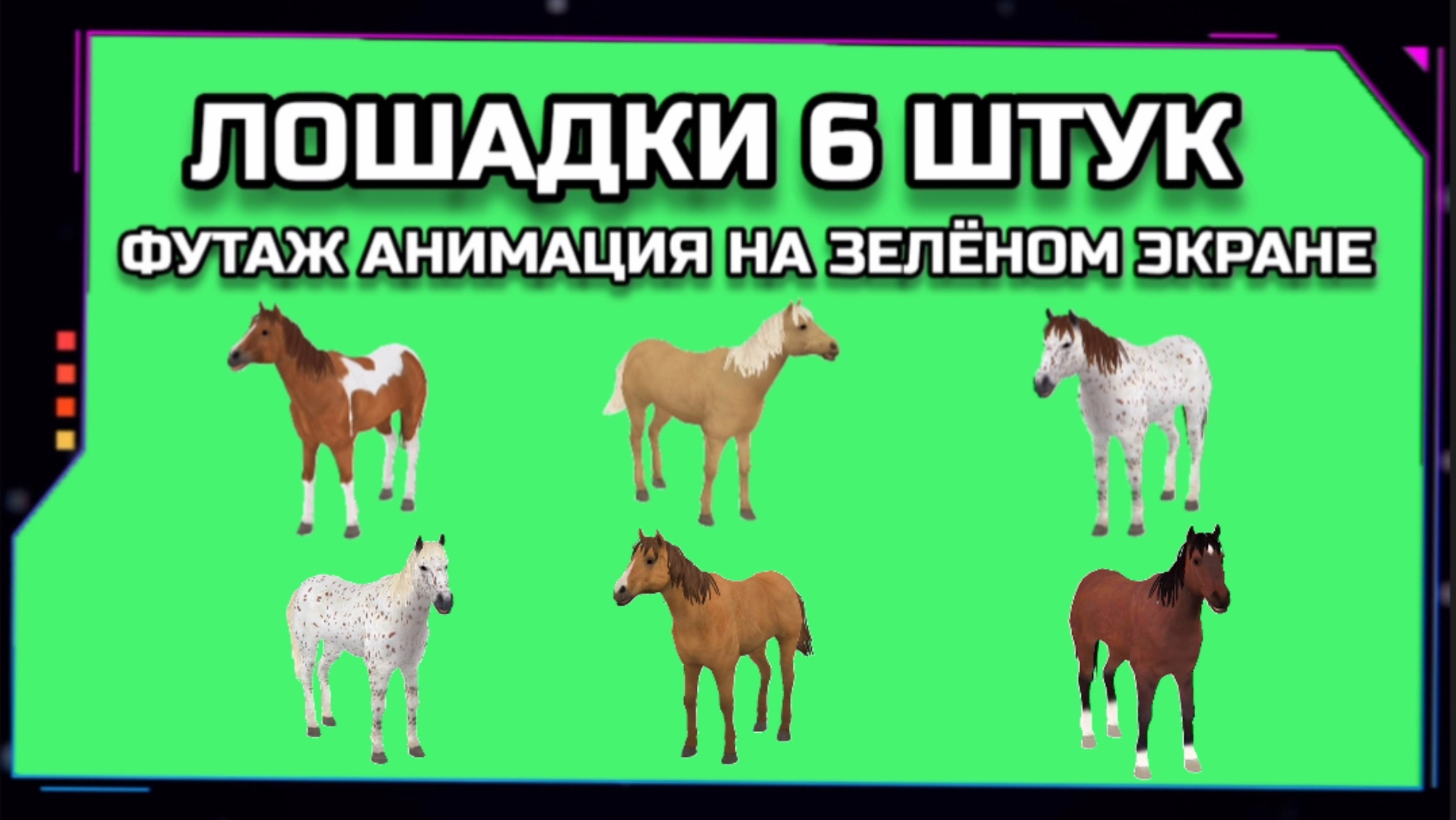 ЛОЩАДИ видео GREEN SCREEN футаж. ХРОМАКЕЙ АНИМАЦИЯ кони на зелёном экране.