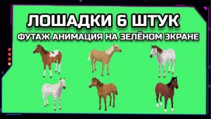 ЛОЩАДИ видео GREEN SCREEN футаж. ХРОМАКЕЙ АНИМАЦИЯ кони на зелёном экране.