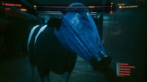 Cyberpunk 2077 [13]